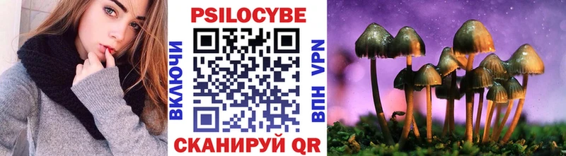 Галлюциногенные грибы Psilocybe  hydra ссылки  Кирсанов 