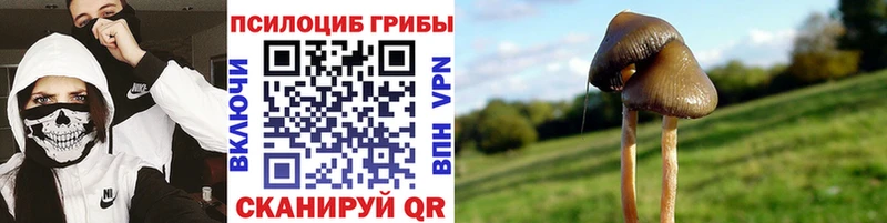 Галлюциногенные грибы мухоморы Кирсанов
